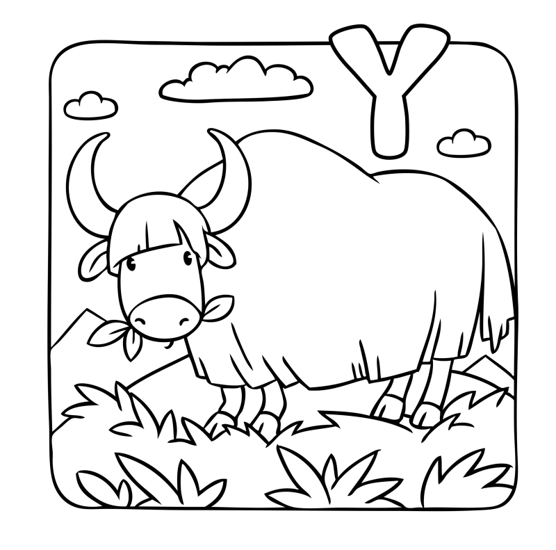 字母-动物-Y