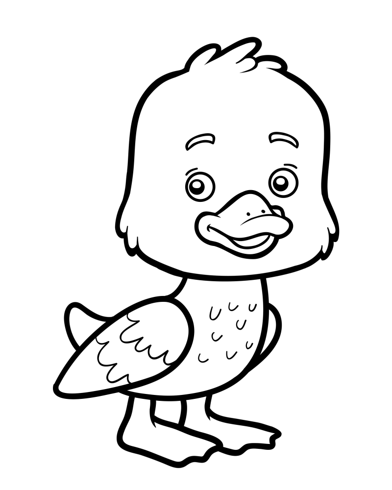 可爱的小动物-小鸭子