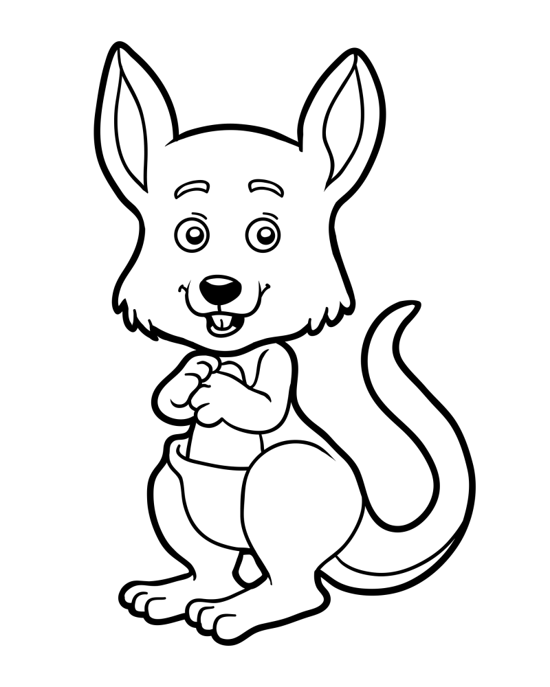 可爱的小动物-袋鼠