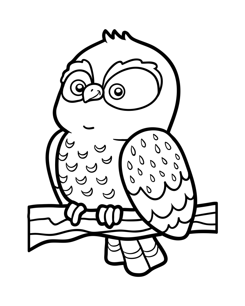 可爱的小动物-猫头鹰