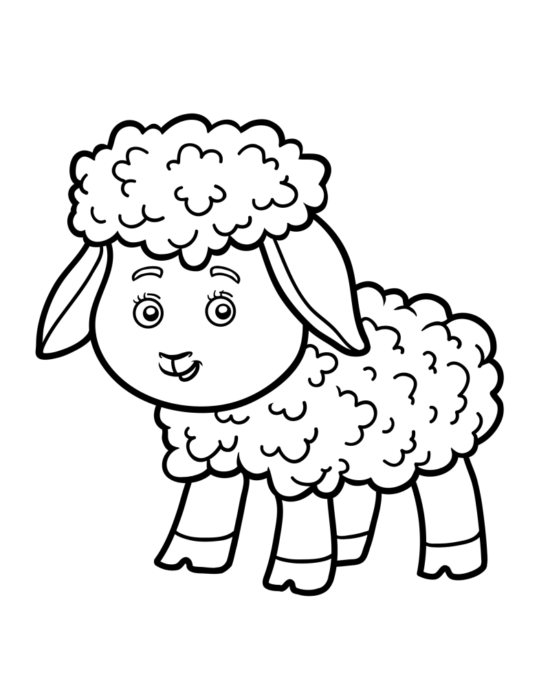 可爱的小动物-小羊