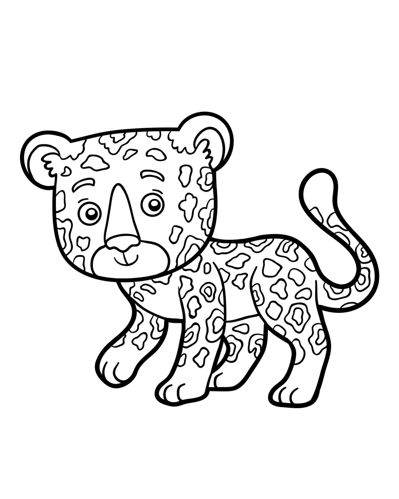 可爱的小动物-豹子