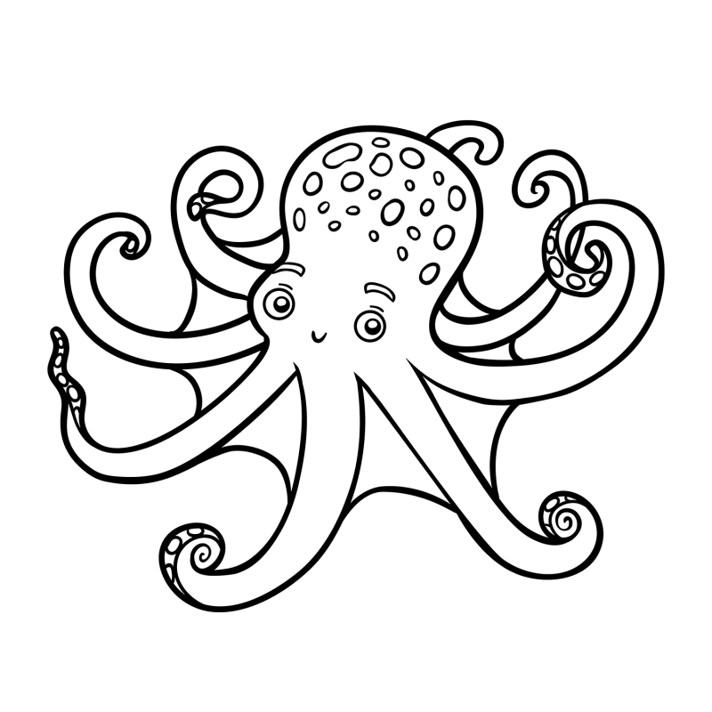 海底动物-八爪鱼