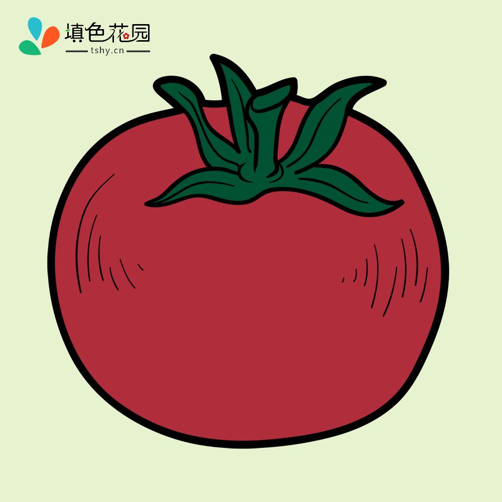 西红柿